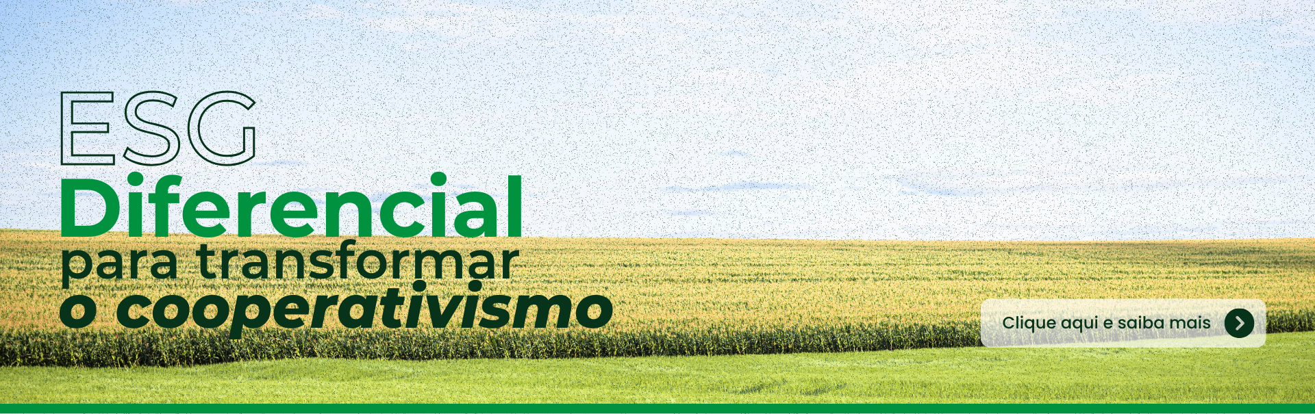   - Unicampo - Unindo forças no campo