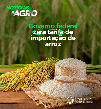  Governo federal zera tarifa de importação de arroz  para garantir abastecimento