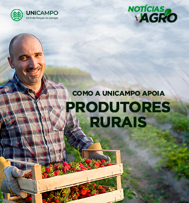 Como a Unicampo apoia os produtores a alcançarem grandes resultados